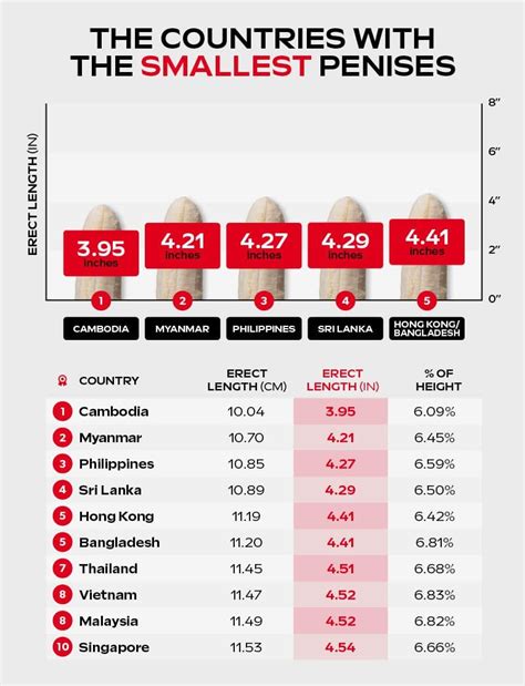 Average Penis Size By Race